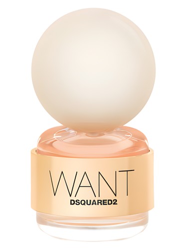 DSQUARED² Want