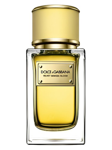 Dolce&Gabbana Velvet Mimosa Bloom