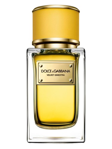 Dolce&Gabbana Velvet Ginestra