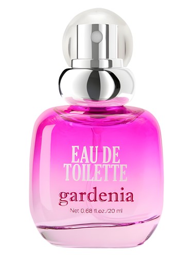 H&M Gardenia