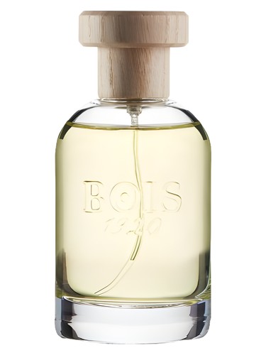 Bois 1920 Magia