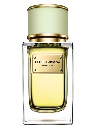 Dolce&Gabbana Velvet Pure