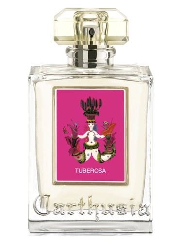Carthusia Tuberosa
