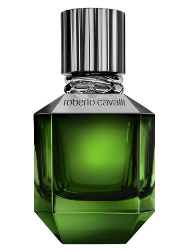 Roberto Cavalli Paradise Found For Men