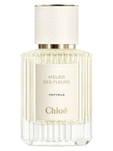 Chloé Papyrus