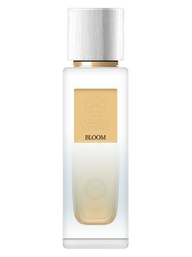 the Woods Collection Bloom