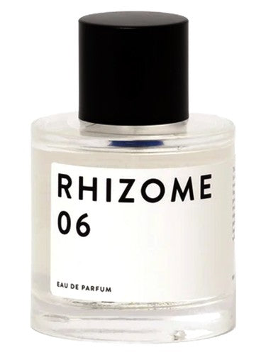 Rhizome Rhizome 06
