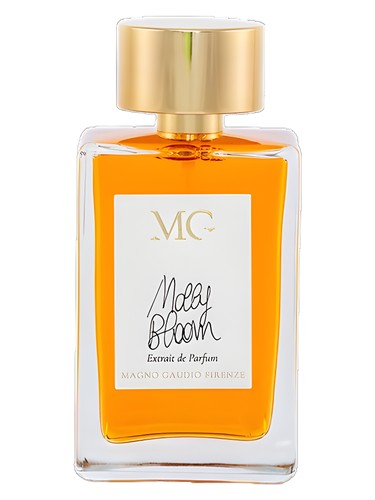 Magno Gaudio Firenze Molly Bloom