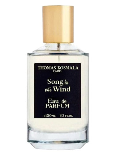 Thomas Kosmala Song In The Wind