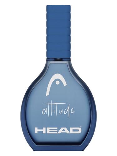 Head Attitude