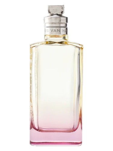 Dries Van Noten Orange Smoke