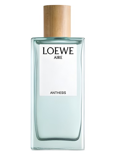 Loewe Aire Anthesis