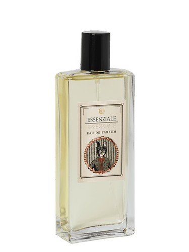 Logevy Firenze 1965 Essenziale