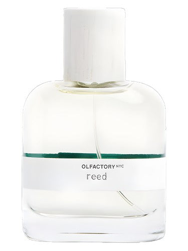 Olfactory NYC Reed