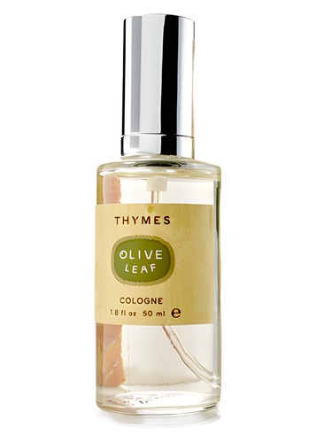 Thymes Olive Leaf