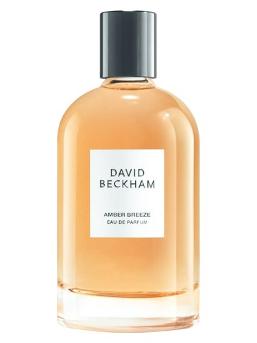 David Beckham Amber Breeze