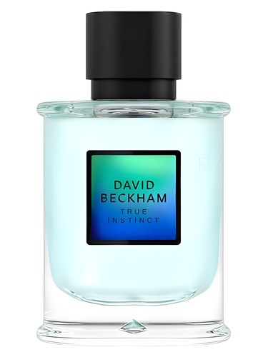 David Beckham David Beckham True Instinct