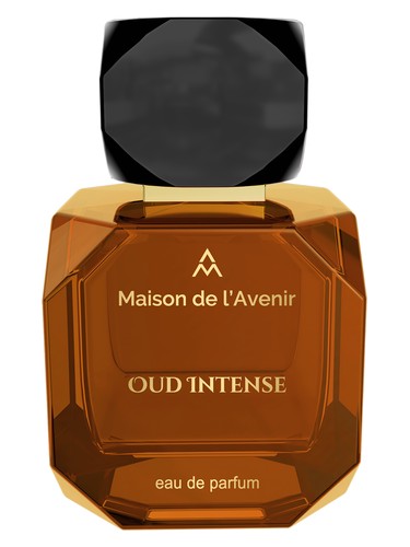 Maison de l'Avenir Oud Intense