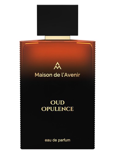 Maison de l'Avenir Oud Opulence