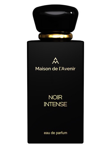 Maison de l'Avenir Noir Intense