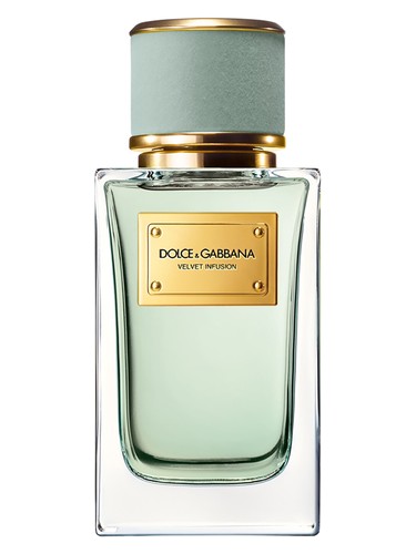Dolce&Gabbana Velvet Infusion