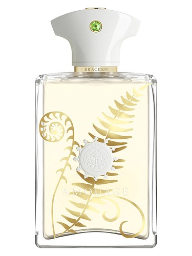 Amouage Bracken Man eau de parfum bottle, a woody fragrance