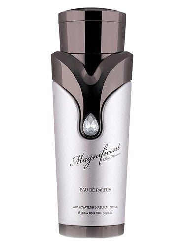 Magnificent Pour Homme