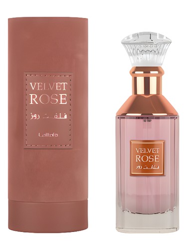 Velvet Rose