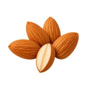 Sweet Almond