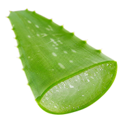 Aloe Vera fragrance note