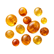 amber-resin