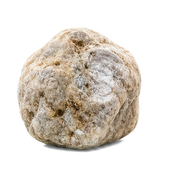 Ambergris