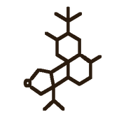 Ambrofix