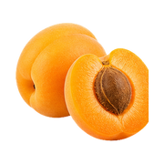 Apricot