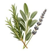 aromatic notes fragrance note