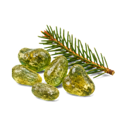 Fir