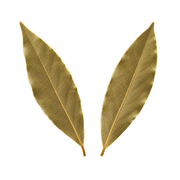 Bay Leaf