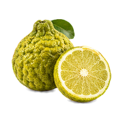 Bergamot