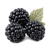 Blackberry