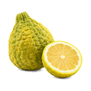 calabrian-bergamot