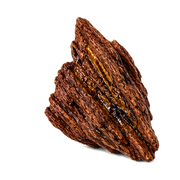 Cambodian Oud