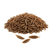 caraway