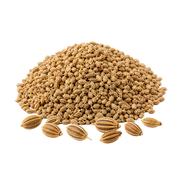 Celery Seeds