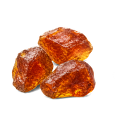 Cistus Incanus