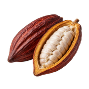 Cacao Pod