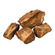 Costus
