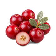 Cranberry