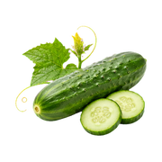 cucumber