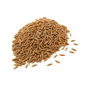 Cumin