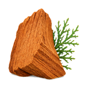 Cypress